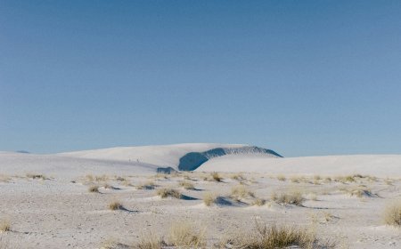 Guide to Testing Soil Before Building Construction